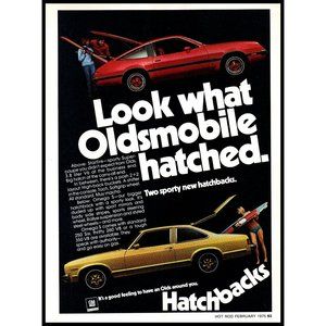1975 Oldsmobile Starfire Super Coupe & Omega S Vintage Print Ad Water Skis Art